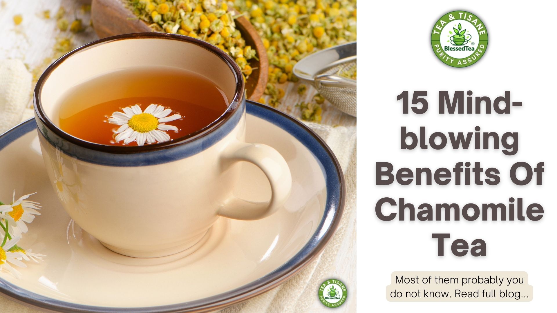 15 Mind-blowing Benefits Of Chamomile Tea - Blessedtea® India